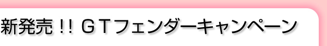 ＧＴフェンダーキャンペーン