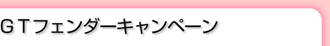 ＧＴフェンダーキャンペーン