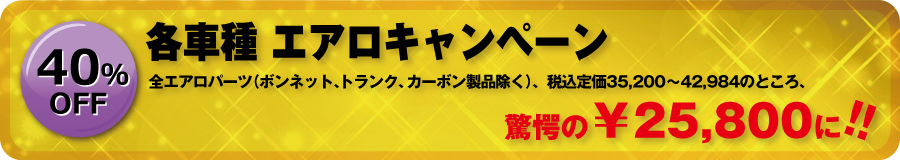 各車種・エアロ キャンペーン