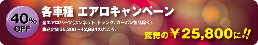 各車種・エアロ キャンペーン